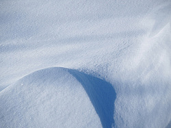 ������� ��������� �����