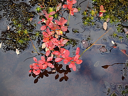 ������� ������ � �����