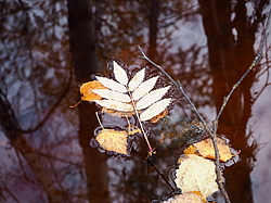 ������� ������ � �����