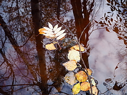 ������� ������ � �����