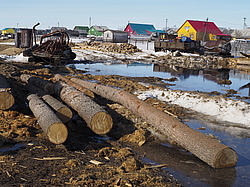 ���� �����, �������� �����, ����. ������ 2016