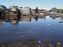 ���� �����, �������� �����, ����. ������ 2016