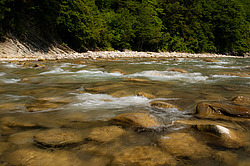 ������������ ��������� �������, �����������