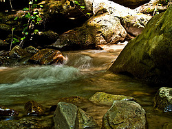 ������������ ��������� �������, �����������