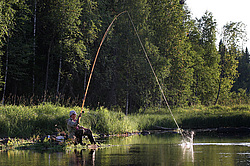 �����-�������� ��������� ��������� ���� �����. ��������� �����, �������