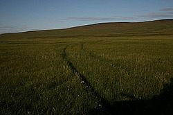 �������, �����, ����������� ������, ����� � ������