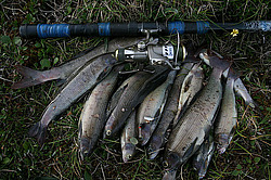 �������, ����� ��������, ���� ���������, �������