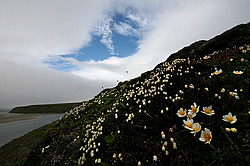 �������� ������, ������-�������� ������� ����� ������������, 2007