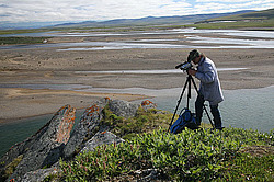 ����������, ���������, ������������ �����