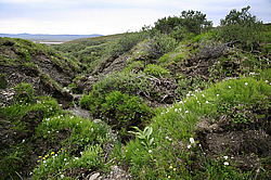 �������� ������, ������-�������� �������