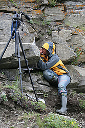 ����������, ���������, ������������ �����