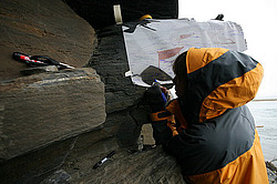 ����������, ���������, ������������ �����