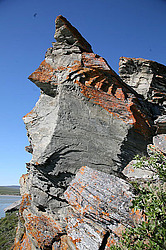 ����������, ���������, ������������ �����