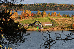 ������� �����, �������, ��������