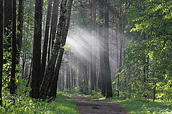 ��� �����