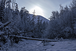 �������� ���� ����-�����, ������� ���� �����. ������ ������, ����������� ����