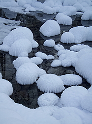 ������������� ���� ����-�����, ������ ���� �����. ������ ������, ����������� ����