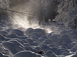 ������� �� ������������� ���� ����-�����. ������ ������, ����������� ����