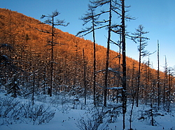 ������ ������, ����������� ����