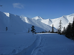 � ��������� ���� �����, ������� ���� ����-�����. ������ ������, ����������� ����