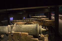 ������ ������ ����� Mary Rose