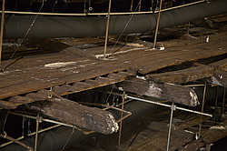 ������ ������ ����� Mary Rose