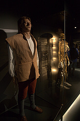 ������ ������ ����� Mary Rose