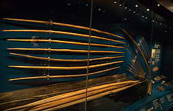 ������ ������ ����� Mary Rose