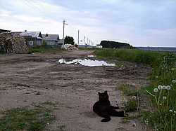 ����������, ����������� �������