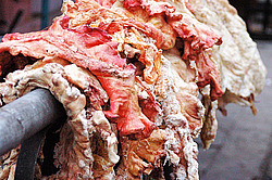 ���� ���. ����� �����, ��������� ������