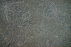 ����� �� ����� � ������������ ������ ������, �����