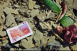 �����, ������