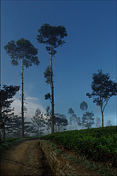 ���-�����, ������ ��������� � ����������� ���������