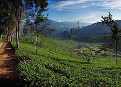 ���-�����, ������ ��������� � ����������� ���������