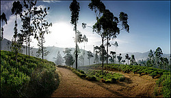 ���-�����, ������ ��������� � ����������� ���������