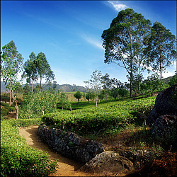 ���-�����, ������ ��������� � ����������� ���������