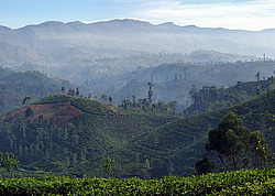 ���-�����, ������ ��������� � ����������� ���������