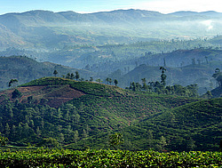 ���-�����, ������ ��������� � ����������� ���������