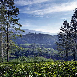 ���-�����, ������ ��������� � ����������� ���������