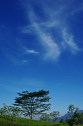 ���-�����, ������ ��������� � ����������� ���������