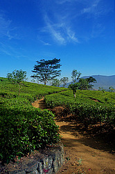 ���-�����, ������ ��������� � ����������� ���������