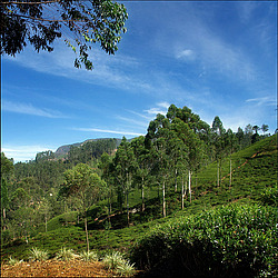 ���-�����, ������ ��������� � ����������� ���������