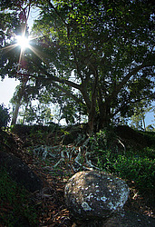 ���-�����, ������ ��������� � ����������� ���������