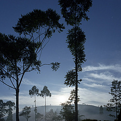 ���-�����, ������ ��������� � ����������� ���������