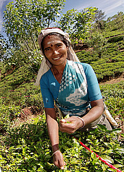 ���-�����, ������ ��������� � ����������� ���������