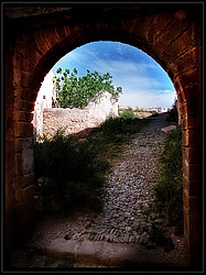 �������, ���-�������, ����� �� ������������� ���������