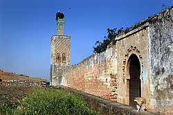 �������, �������, �����, ������� � �������