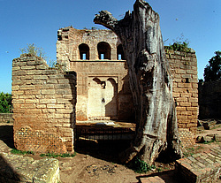 �������, �������, �����, ������� � �������