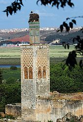 �������, �������, �����, ������� � �������