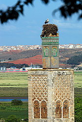 �������, �������, �����, ������� � �������